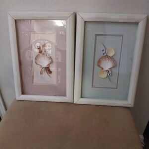 Set of Two Framed Seashell Artworks